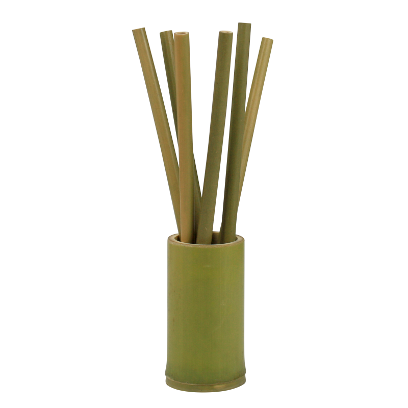 6 pailles en bambou dans un support en bambou - Livrees avec un mini goupillon - boite couleur Ard'time