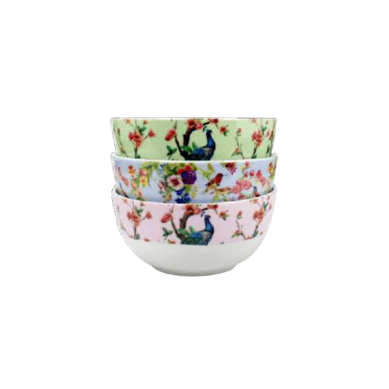Bol "Ozio" - diam 14 cm x 6,9cm - 500ml - 6 designs panaches Oiseaux et Paons - Ard'time
